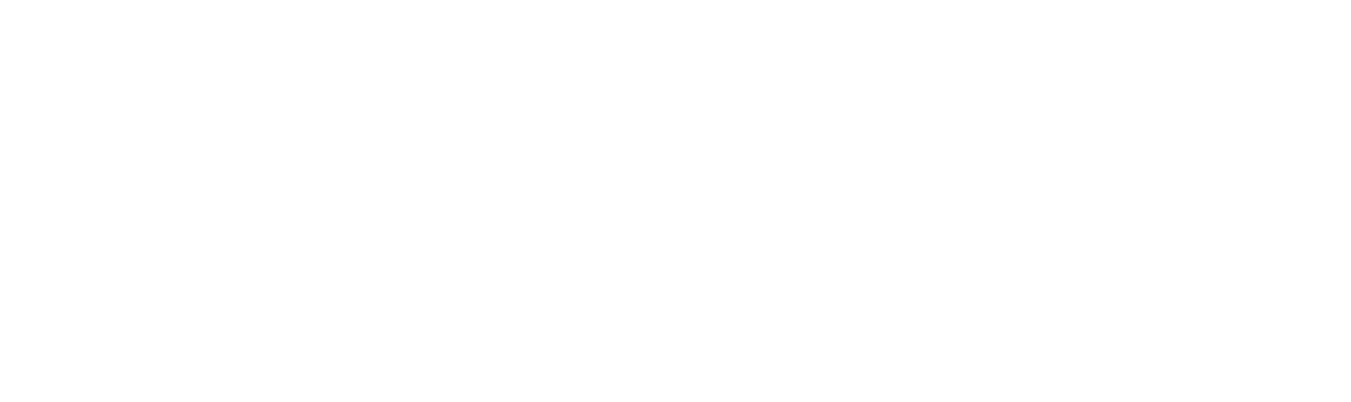 ICE Felix